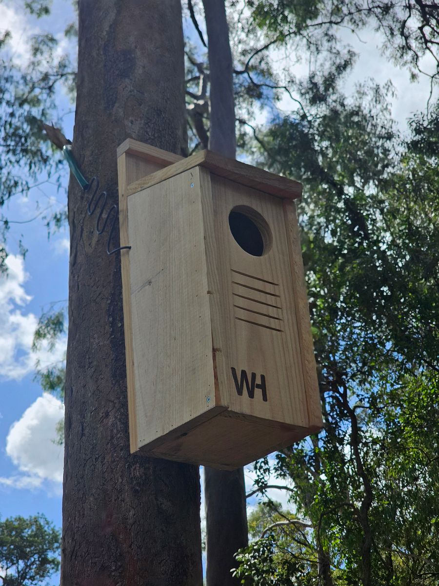 Wing Haven box mounted to a trunk with the Habisure spring-wire tie